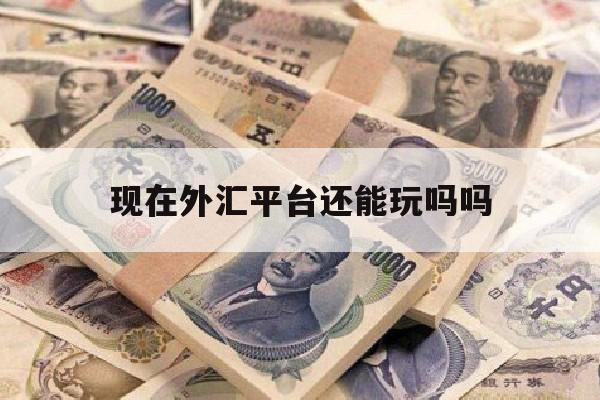 现在外汇平台还能玩吗吗(现在外汇还能做吗2020年)