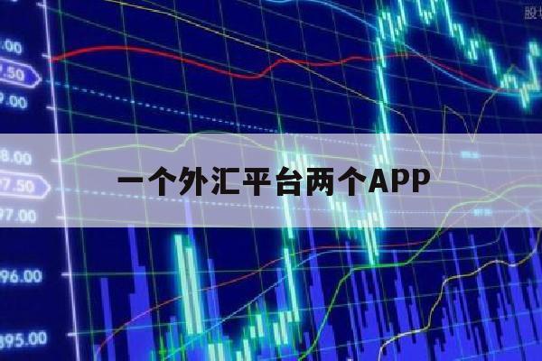 一个外汇平台两个APP(一个外汇交易平台为什么这么多服务器)