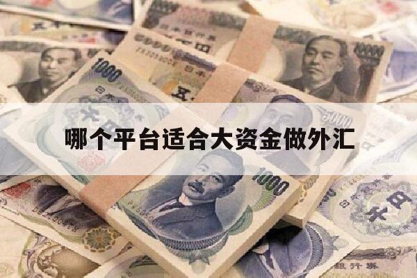 哪个平台适合大资金做外汇(哪个平台适合大资金做外汇业务)