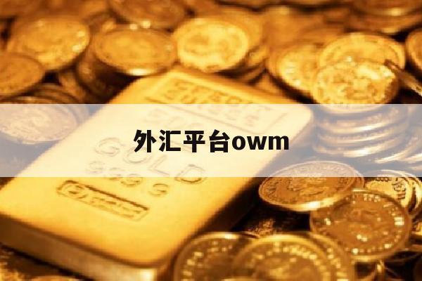 外汇平台owm(外汇平台怎么入金是正规的)