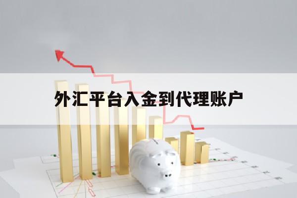 外汇平台入金到代理账户(外汇入金渠道)