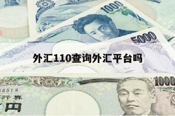 外汇110查询外汇平台吗(外汇110查询外汇平台排名)