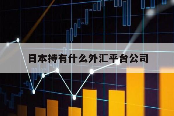 日本持有什么外汇平台公司(日本流行外汇交易)