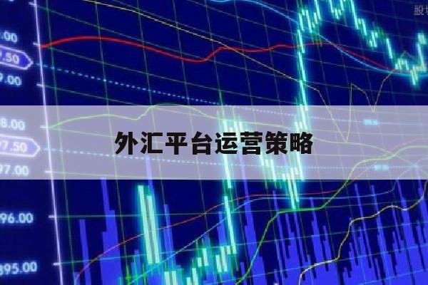 外汇平台运营策略(外汇平台运营策略有哪些)