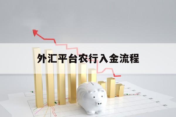 外汇平台农行入金流程(农行外汇入账需要什么资料)