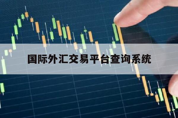 国际外汇交易平台查询系统(国际外汇交易平台查询系统官网)