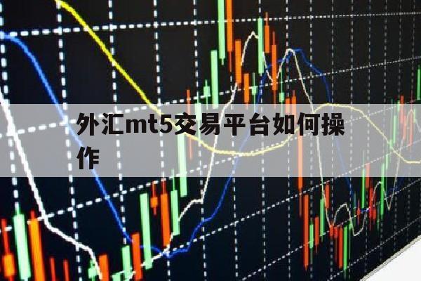 关于外汇mt5交易平台如何操作的信息