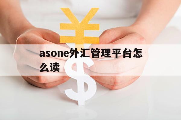 asone外汇管理平台怎么读(外汇管理局应用平台asone)