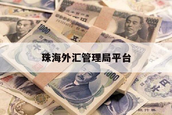 珠海外汇管理局平台(国家外汇管理局珠海市中心支局)