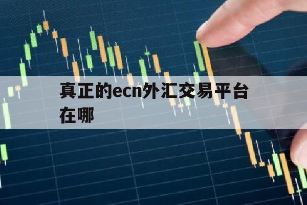 真正的ecn外汇交易平台在哪(ecntrade外汇平台官网)