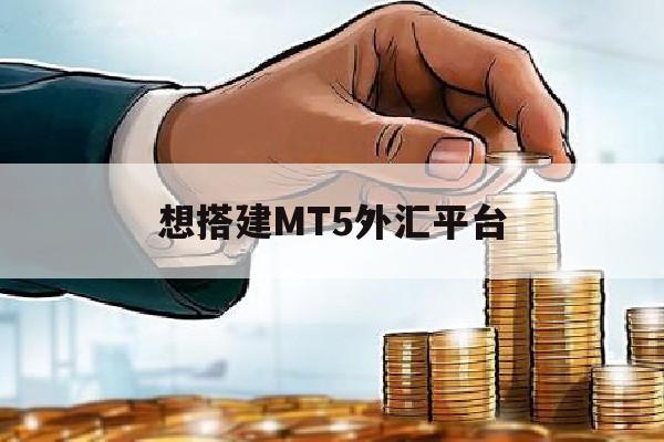 想搭建MT5外汇平台(mt5外汇交易软件操作教程)