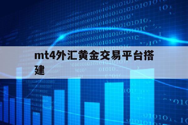 mt4外汇黄金交易平台搭建(mt4平台交易黄金手续费多少)