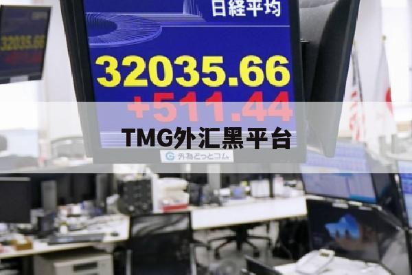 TMG外汇黑平台(tmg外汇怎么样)