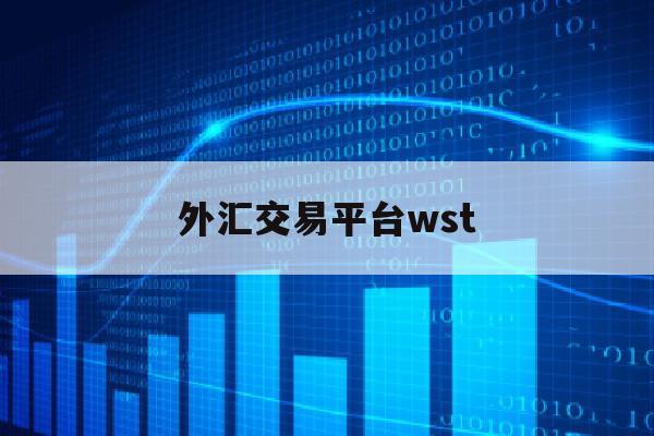 外汇交易平台wst(外汇交易平台app下载)