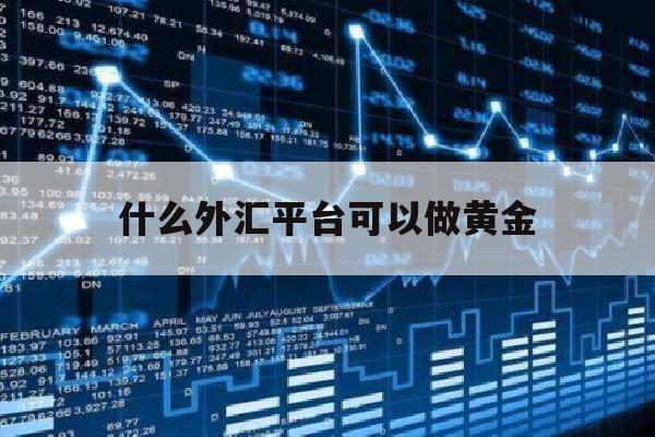 什么外汇平台可以做黄金(哪个外汇平台黄金点差最低)