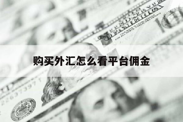 购买外汇怎么看平台佣金(外汇交易怎么查余额)