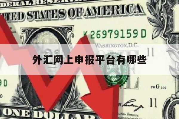 外汇网上申报平台有哪些(外汇网上申报平台有哪些种类)