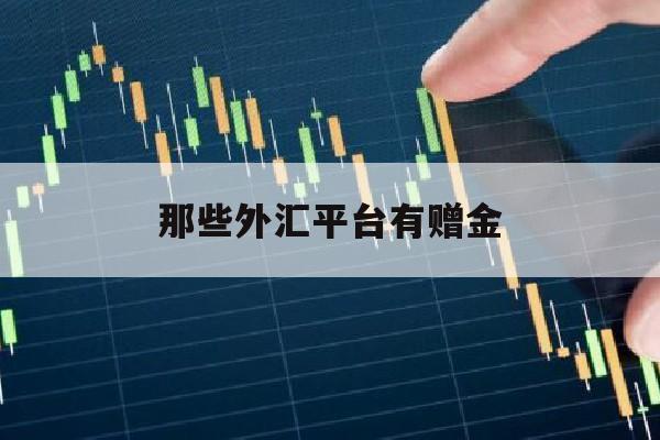 那些外汇平台有赠金(外汇免费赠金)