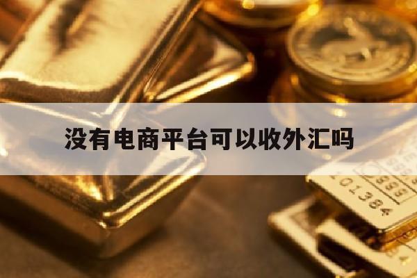 没有电商平台可以收外汇吗(没有货源可以做跨境电商吗)