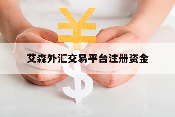 艾森外汇交易平台注册资金(艾森外汇交易平台注册资金多少)