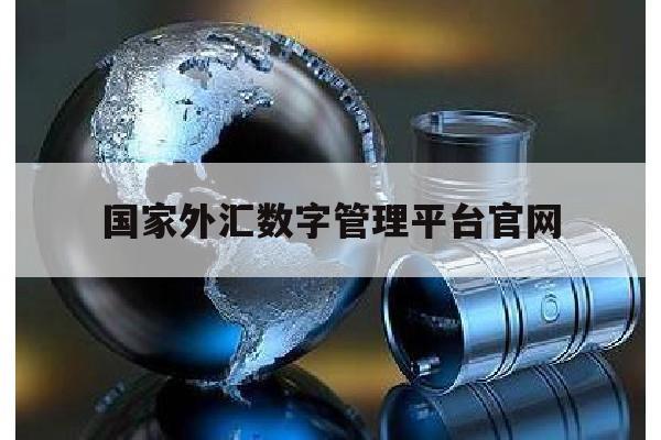 国家外汇数字管理平台官网(外汇管理局数字)