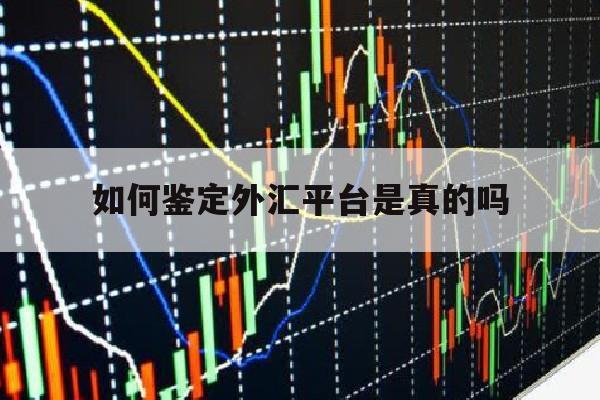 如何鉴定外汇平台是真的吗(如何鉴定外汇平台是真的吗还是假的)