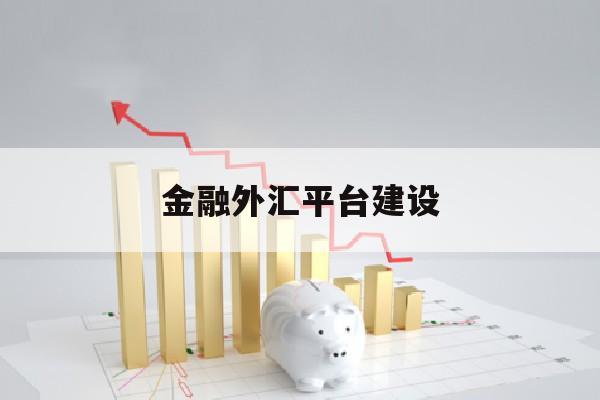 金融外汇平台建设(金融外汇平台获利是骗局吗)