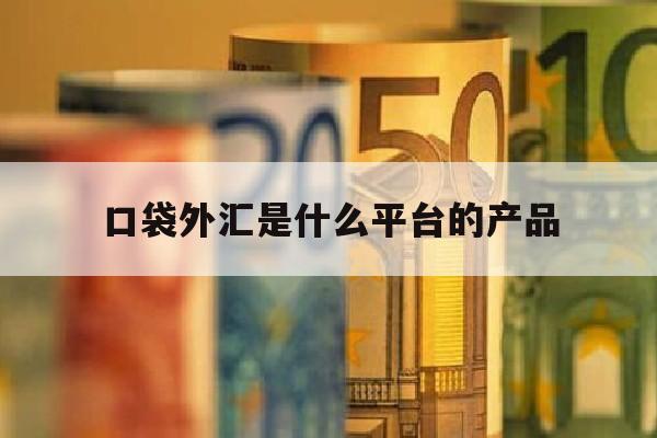 口袋外汇是什么平台的产品(口袋外汇是什么平台的产品啊)