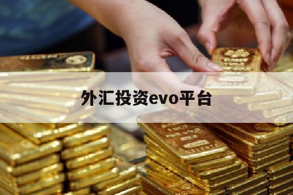 外汇投资evo平台(marketiva外汇平台)