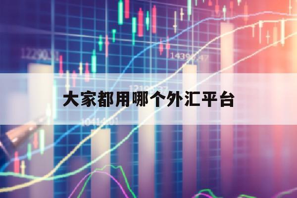 大家都用哪个外汇平台(大家都用哪个外汇平台交易)