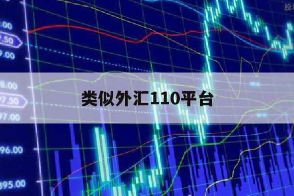 类似外汇110平台(外汇110网站是正规的吗)