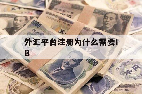 外汇平台注册为什么需要IB(做外汇为什么要5个银行卡和身份证)