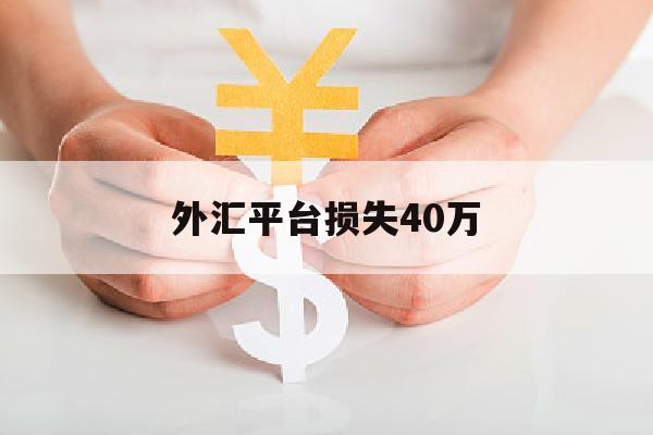 外汇平台损失40万(外汇平台亏钱如何挽回)