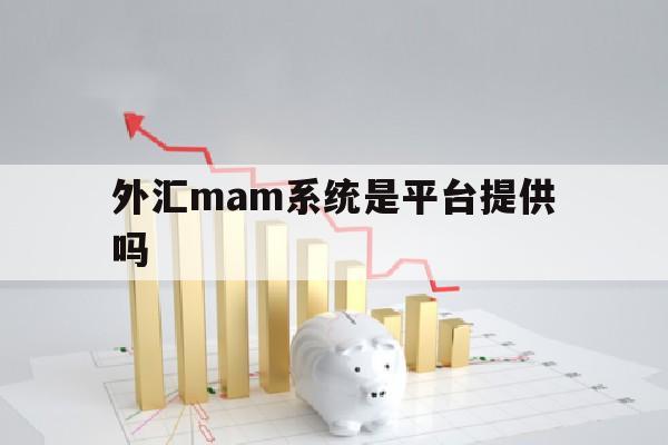 包含外汇mam系统是平台提供吗的词条