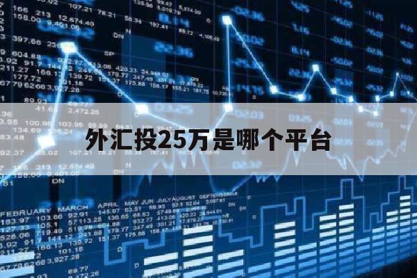 外汇投25万是哪个平台(外汇投25万是哪个平台交易)