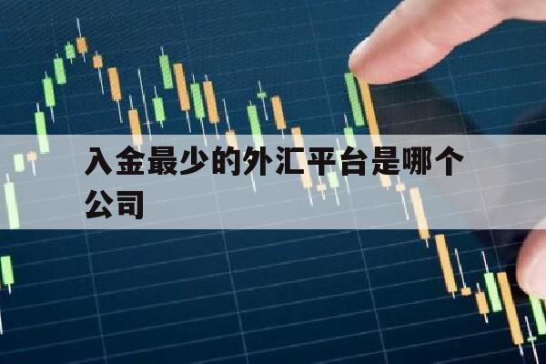 入金最少的外汇平台是哪个公司(入金最少的外汇平台是哪个公司的)