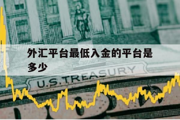 外汇平台最低入金的平台是多少(外汇平台最低入金的平台是多少倍)