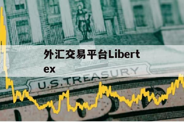 外汇交易平台Libertex的简单介绍