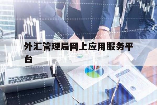 关于外汇管理局网上应用服务平台的信息