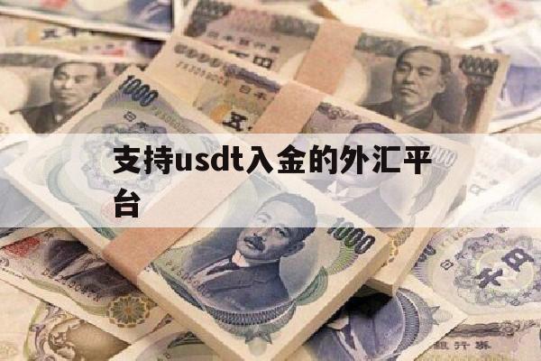 支持usdt入金的外汇平台(外汇平台用usdt入金安全吗)