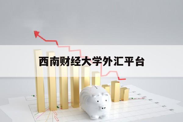 西南财经大学外汇平台(西南财经大学对外交流项目)