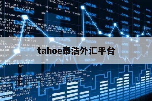 关于tahoe泰浩外汇平台的信息