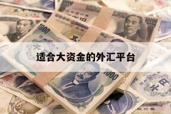 适合大资金的外汇平台(哪个外汇平台资金最安全)