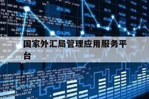 国家外汇局管理应用服务平台(国家外汇局管理应用服务平台是什么)