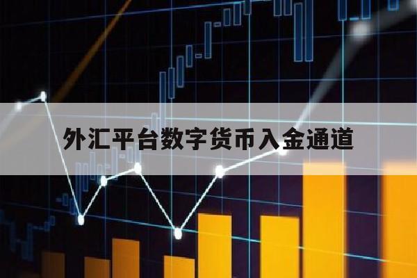 外汇平台数字货币入金通道(外汇平台数字货币入金通道有哪些)