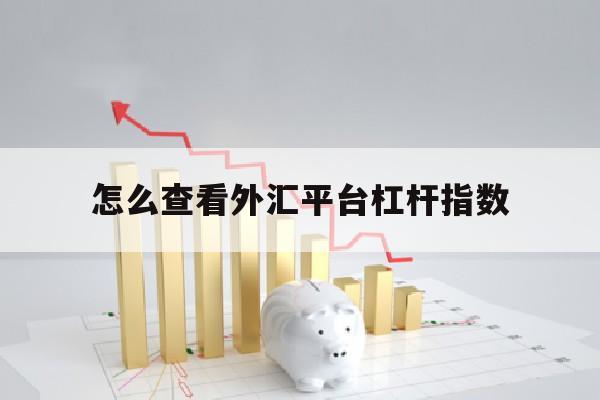 怎么查看外汇平台杠杆指数(怎么查看外汇平台杠杆指数是多少)