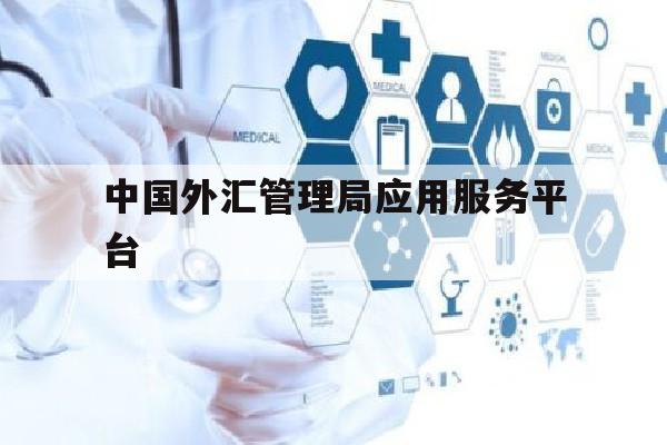 中国外汇管理局应用服务平台(中国外汇管理局应用服务平台是什么)