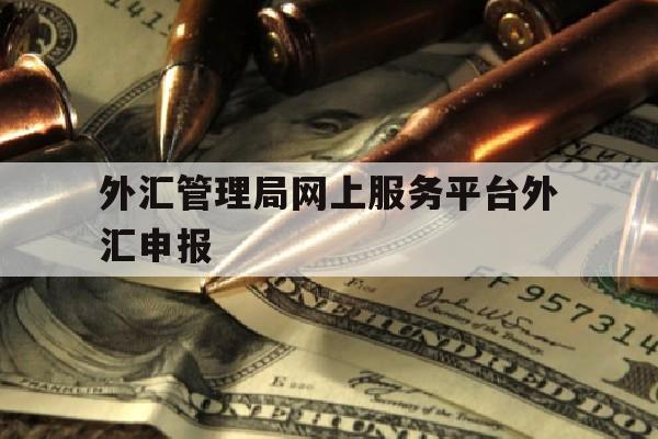 关于外汇管理局网上服务平台外汇申报的信息