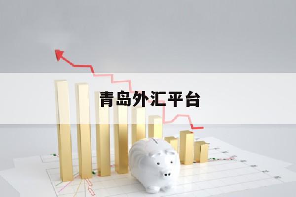 青岛外汇平台(青岛外汇平台官网)