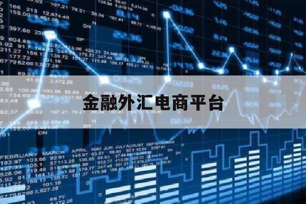 金融外汇电商平台(金融外汇网络销售是做什么的)